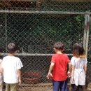 세정농장 이미지