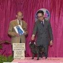 라온나라 이미지