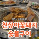 꽃돼지소숯불갈비 | [경기/이천] 장호원맛집 추천 :: 고기에 숯불 향 가득~ 천상아꽃돼지숯불구이 후기🐽