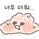 중마애견 이미지