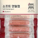 덴탈링크 네이버블로그