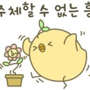 모리토스타코스