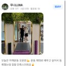 고릴라 멀티짐 이미지