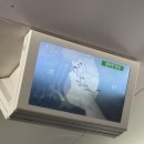 블루오션스킨스쿠버 이미지