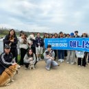 강변로4-1(서) 교수신문