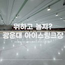 광운대학교 | 여름 놀거리 광운대학교 아이스링크장 방문 후기