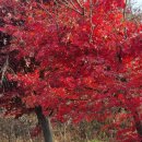 형선농장 이미지