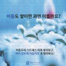 제이포레 네이버블로그