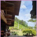 아르보르펜션 이미지