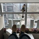 더블유치과의원 이미지