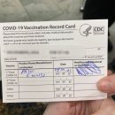 J&J Stay | 화이저 백신접종 후기 (1차)