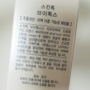 브이(V)6