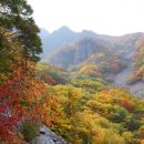 영남알프스 천황산-재약산 단풍과 억새 즐기다 ＜131031＞ 이미지