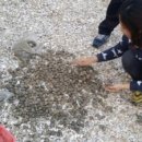 통영펜션하늘채 이미지