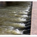 강릉 노추산 힐링캠프 이미지