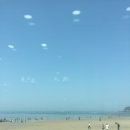 황금횟집 - 창원시 마산회원구 양덕남1길 26 | 황금횟집