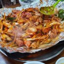 살아있는 꼼장어 - 김해시 | 살아있는 꼼장어