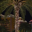 여주-0712 | 오키나와 여행 후기