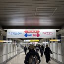 미소타워 태양광발전소 | 260308_나고야 우먼스 마라톤 (feat. 돌아오는 비행기 놓쳤;)