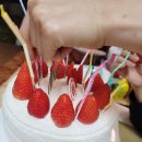 파리바게뜨 (월곡동아점) | 상월곡역 동덕여대 ) <파리바게트 월곡동아점> 리얼후레쉬 베리 딸기케이크 내돈내산