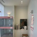 헤이뚜뚜 이미지