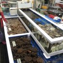 상진수산 이미지