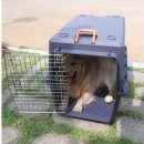 하나켄넬 이미지