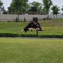 합기도 용무 체육관 이미지