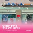 효양약국 네이버블로그