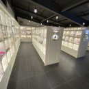 펫바라기 이미지