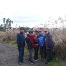 대륜동 법환포구 이미지