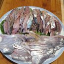 오늘은 회 이미지