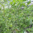 석창농장 이미지