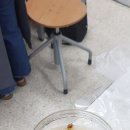 지평중학교 이미지