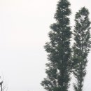 바다다방 - 113344 | 바다다방