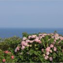 종달리삼거리 이미지