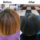 전국머리자랑 네이버블로그