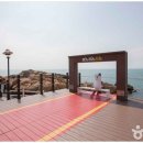 죽성에 머물다 이미지