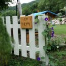 뒷골목장 이미지