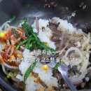 김밥사냥 - 중구 동호로 163 | [약수역 분식 맛집 1탄] 김밥사냥 - 돌솥비빔밥, 원조김밥 내돈내산 리뷰
