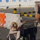 미타임하우스 이미지