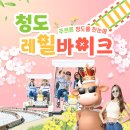 청도레일바이크 | [청도/레일바이크]11월 청도 단풍여행지 추천! / 드라이브+단풍+아이랑