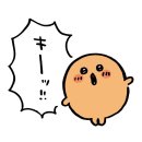 [짐패스] 나가노 마켓 직구 아홉 번째 후기 (천사 담곰 🪽)