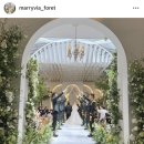 11620-26-13-5 | w 1-5. [웨딩홀] 대전 웨딩홀 투어 ③ 메리비아포레 상담 후기🤍 홀 분위기 · 식대 (26년 하반기 계약O)