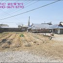 동백꽃공인중개사사무소 이미지