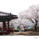 면천군자정 이미지