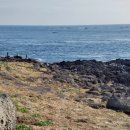 마라도 재활용 도움센터 이미지