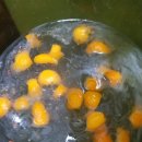 한마음임광2차 이미지