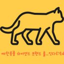 다잇다스토어
