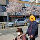 참누리노인복지센터 이미지